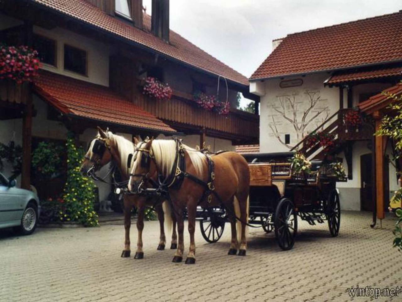 Appartementhaus "Haflinger Hof" Bad Füssing Exterior foto